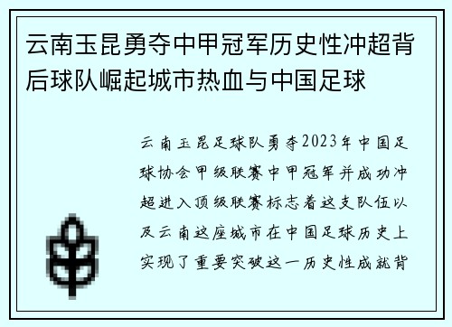 云南玉昆勇夺中甲冠军历史性冲超背后球队崛起城市热血与中国足球 云南玉昆勇夺中甲冠军历史性冲超背后球队崛起城市热血与中国足球