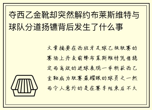 夺西乙金靴却突然解约布莱斯维特与球队分道扬镳背后发生了什么事 夺西乙金靴却突然解约布莱斯维特与球队分道扬镳背后发生了什么事
